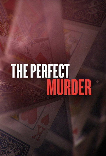 Regarder The Perfect Murder - Saison 1 en streaming complet